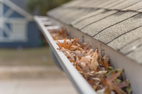 Leaf Barrier Installation in Richland